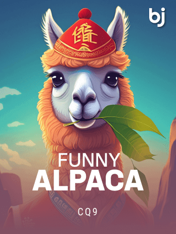 Funny Alpaca
